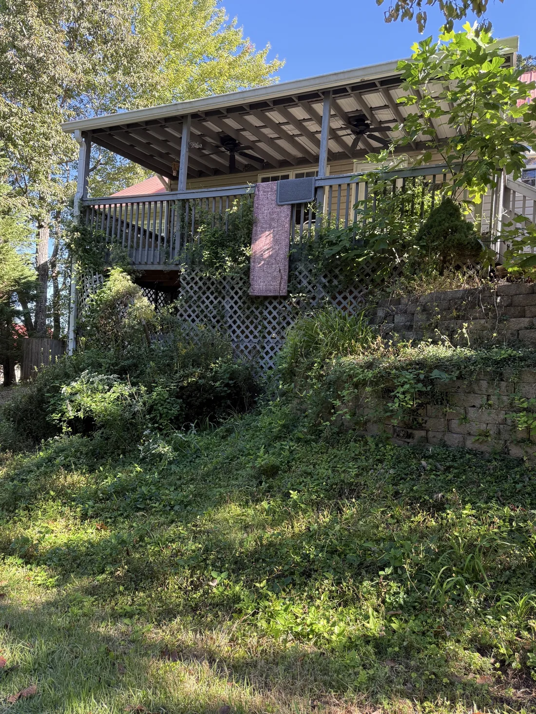 Overgrown brush and groundcover beneath a raised porch before clearing